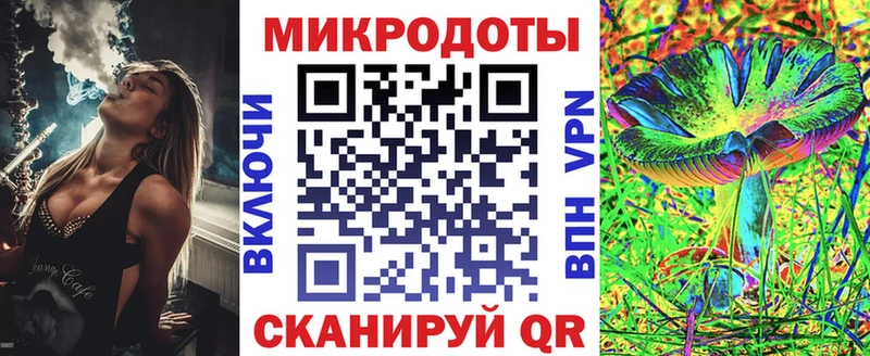 где найти наркотики  Севск  blacksprut как войти  Псилоцибиновые грибы Psilocybe 